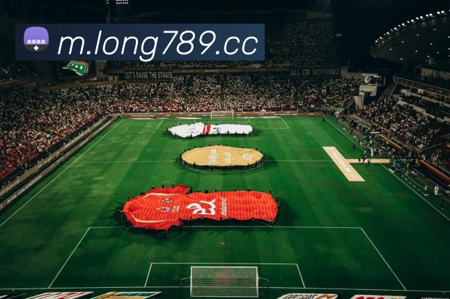 龙8-long8(国际)官方网站服务体系